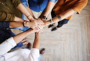 Team collaborating on financial goals.